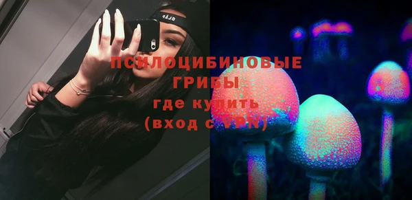 крисы Абдулино