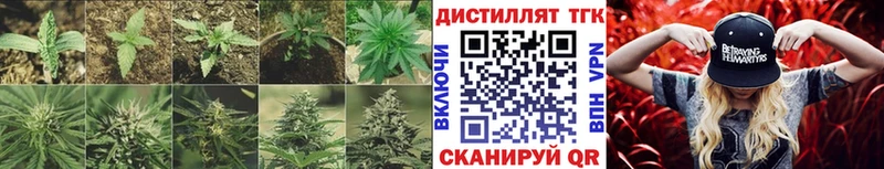 дарнет шоп OMG маркетплейс ТГК концентрат Россошь