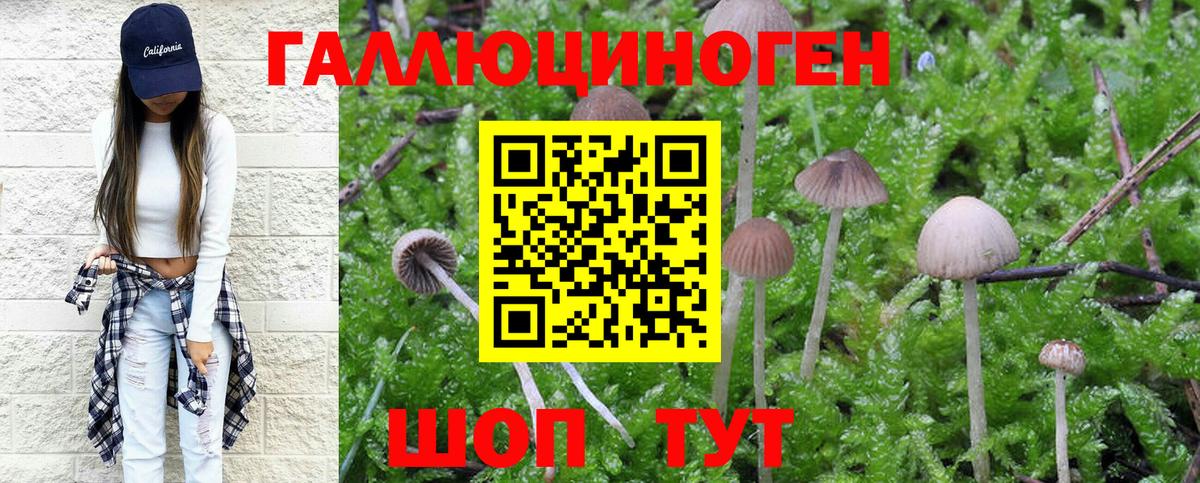 где продают наркотики  Галлюциногенные грибы Cubensis  Вход с VPN  Россошь 